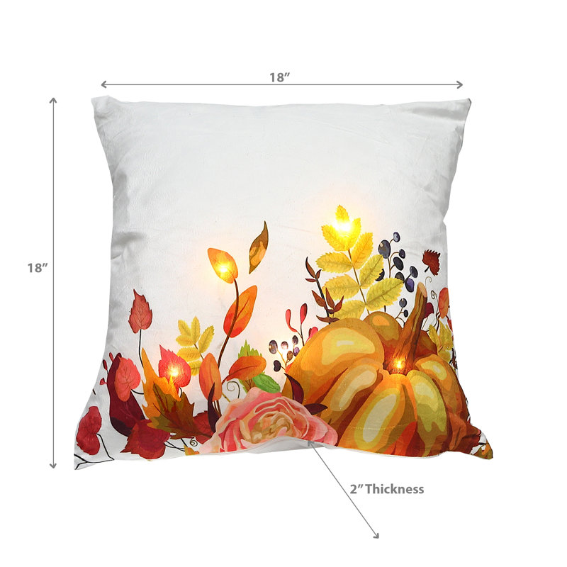 Coussin décoratif en velours