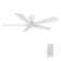 Floda 52'' Ceiling Fan