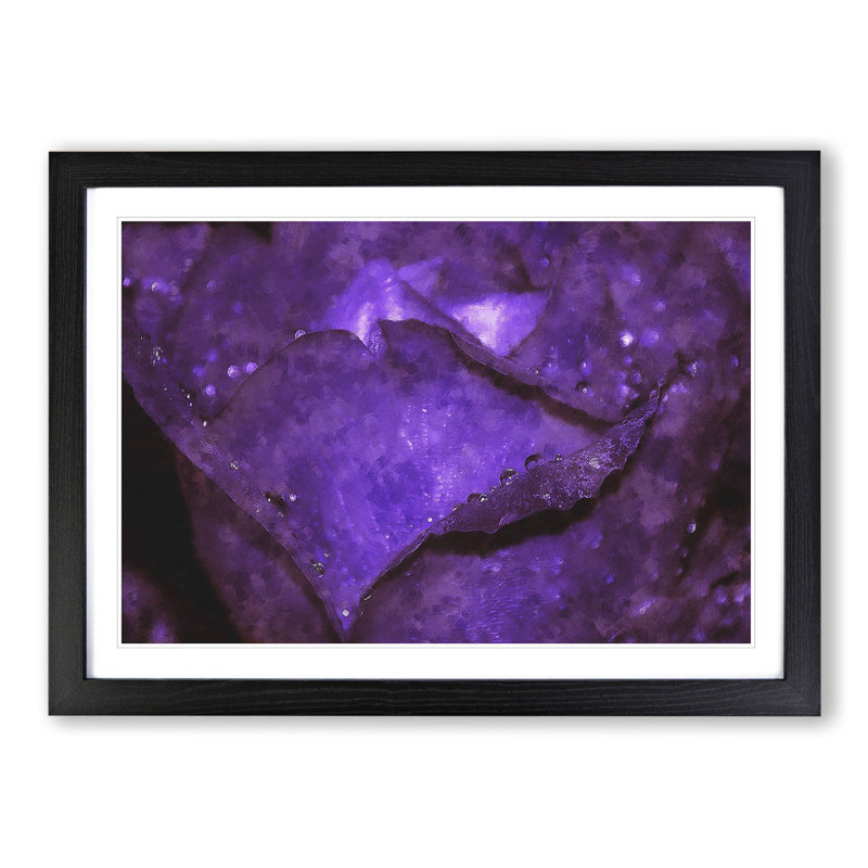 Purple Rose Flower Vol.4 - Framed Print, 27cm H x 36cm W x 2cm D, Black Framed