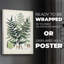 Collectionner Ferns VII - Reproduction de toile seulement - NON-CADRE-117860197