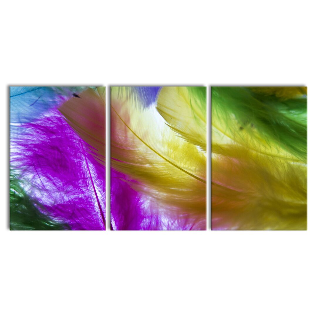 3-tlg. Leinwandbilder-Set Colourful Feathers