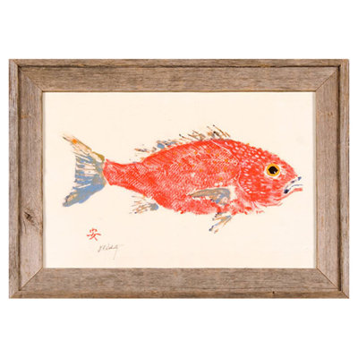 «Red Snapper Driftwood», reproduction encadrée 12 x 18 | Inspiré par l'océan
