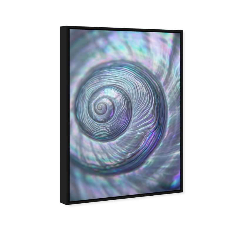 Sea Spiral Print by Oliver Gal, 37"H x 25"W, Black Floater Frame