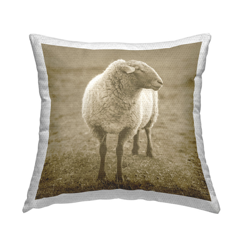 Outdoor Throw Pillow