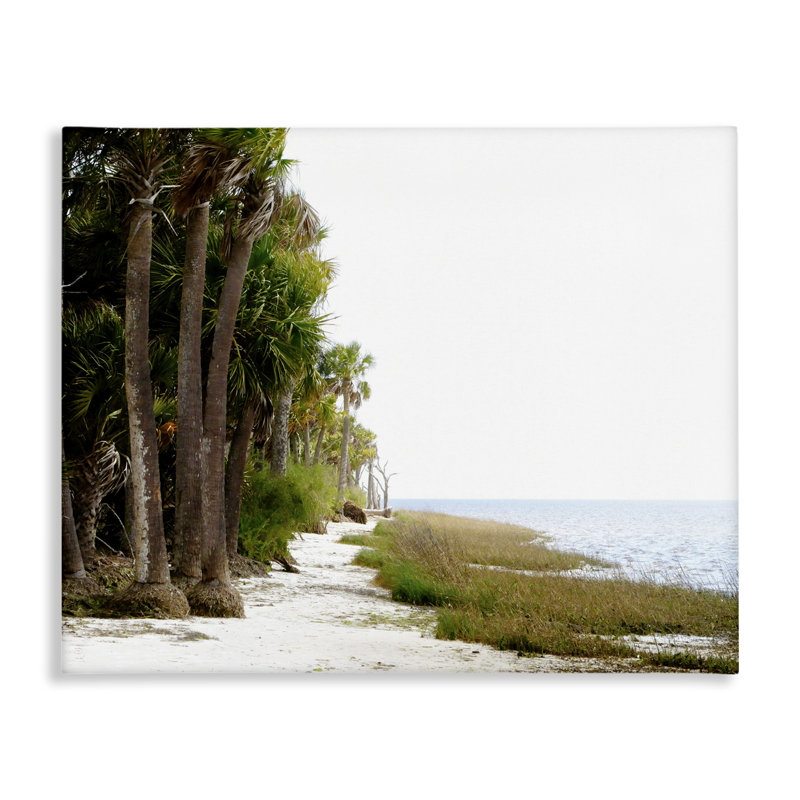 Art mural sur toile Palm Beach Path par Gail Peck, H 16 po x l 20 po