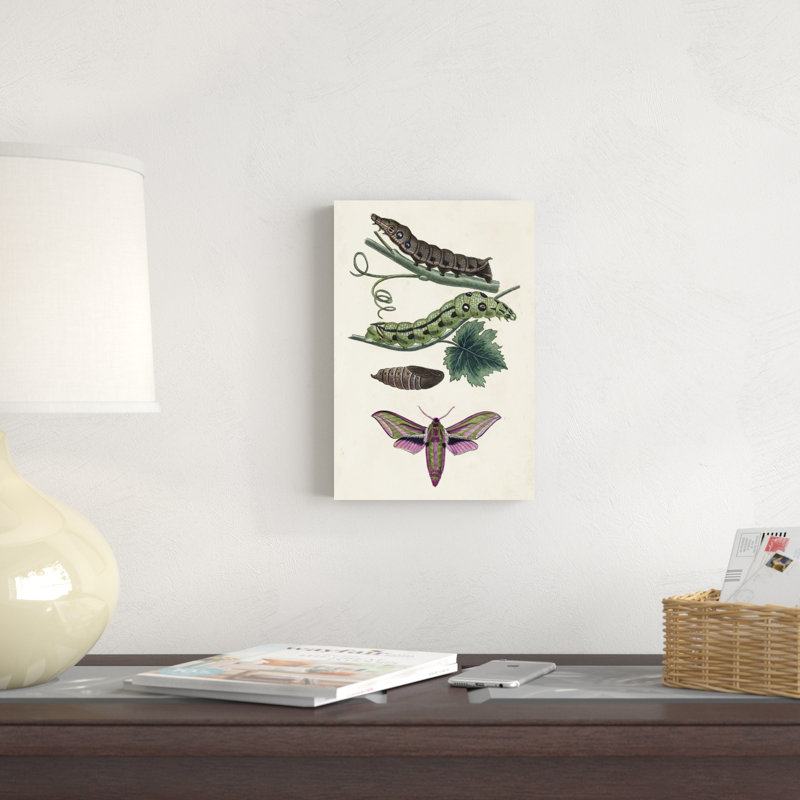Chenille et papillon de nuit VI - peinture sur toile tendue, H 12 po x l 8 po