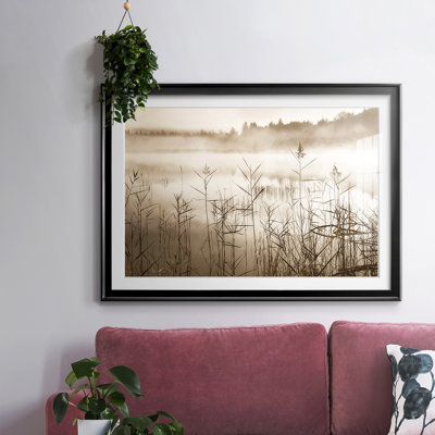 " Soft Sepia Rise "