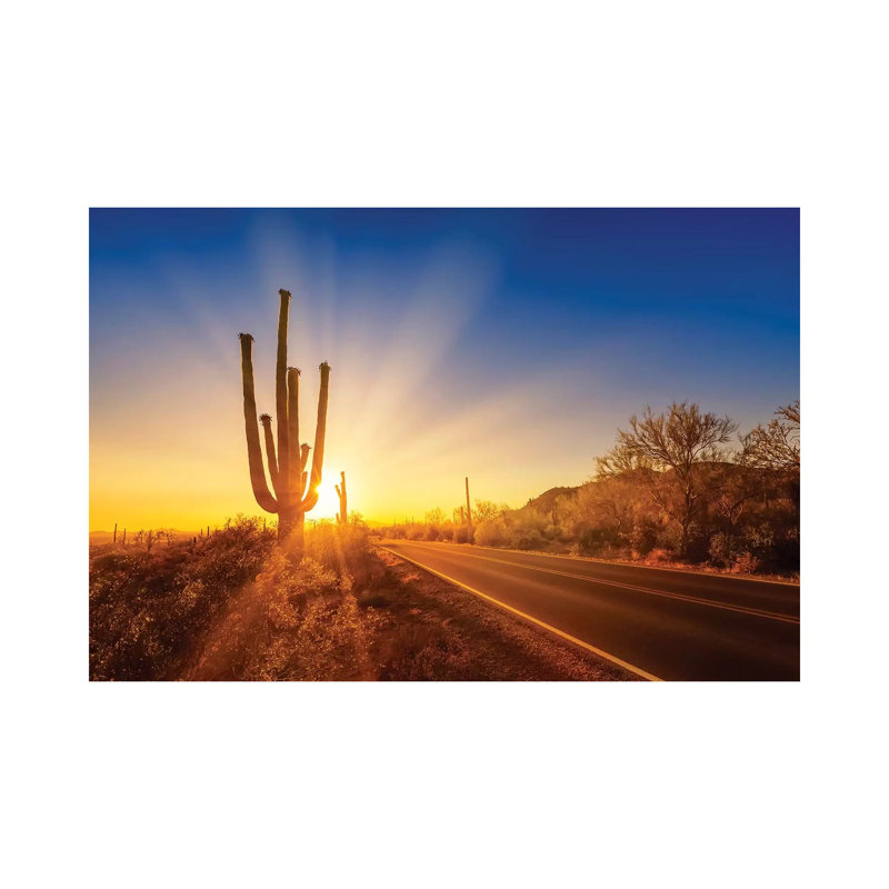 Saguaro National Park Setting Sun by Melanie Viola - Wrapped Canvas Print, 20.32 cm H x 30.48 cm W