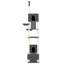 303cm H Cat Tree-83099862