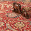 Moldabela Oriental Wool Area Rug-100517255