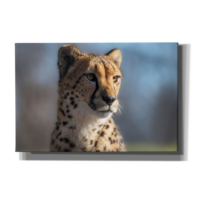 «Cheetah 1» par Gordon Semmens, art mural sur toile