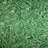 Dewitt 4'x112.5' Garden Net Commercial/Home Excelsior Erosion Control Blanket