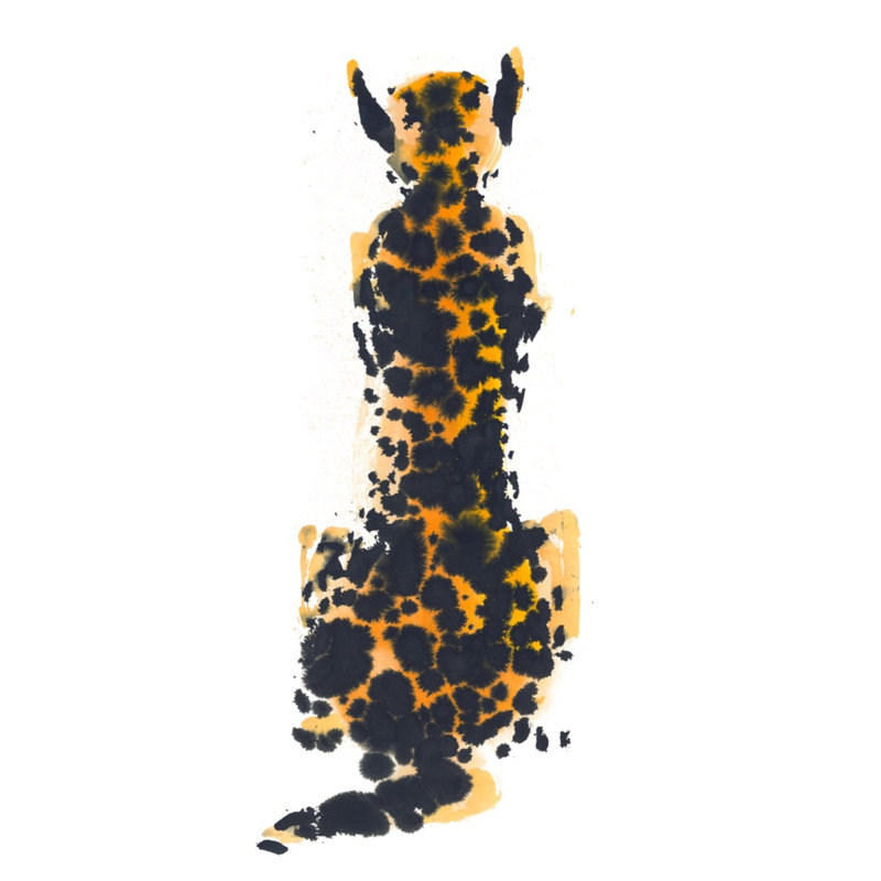«Fall 2022 Wild Spots 3» encadré sur papier par PC Ngo Print, Cadre simple noir, H 30 po x l 21 po