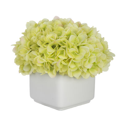Hydrangea Arrangement
