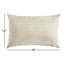 Ewing No Decorative Addition Indoor/Outdoor Lumbar Throw Pillow-1365895962