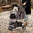 Foldable Pet Stroller, 3 Wheels Folding Carrier Jogger Stroller for Dogs Cats with Canopy and Basket-101628880