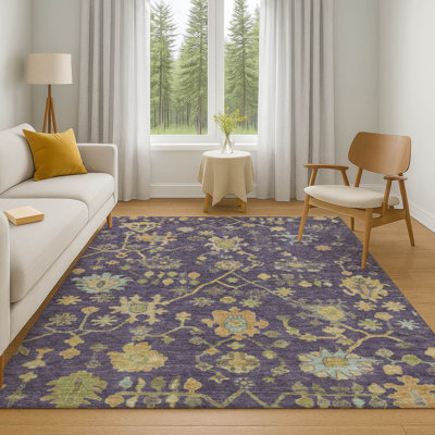 Premium Machine Washable Alaina AMF1930 Global Rug