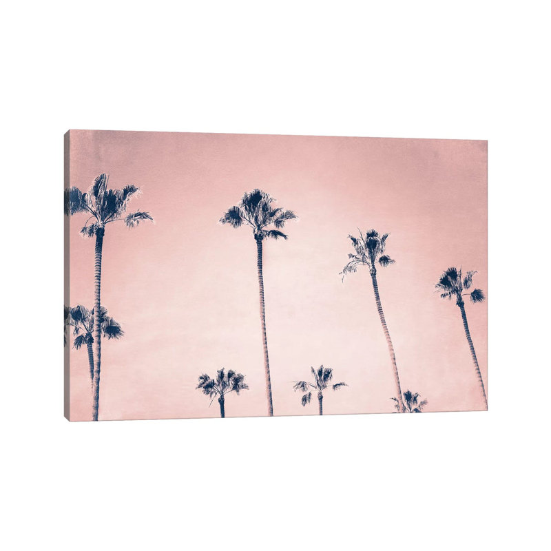 Palms by MScottPhotography - Wrapped Canvas Print, 20.32 cm H x 30.48 cm W