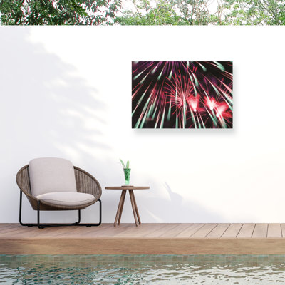 Feux d'artifice abstrait bolologique 2020 3