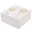 Glass Jewellery Box + Dividers