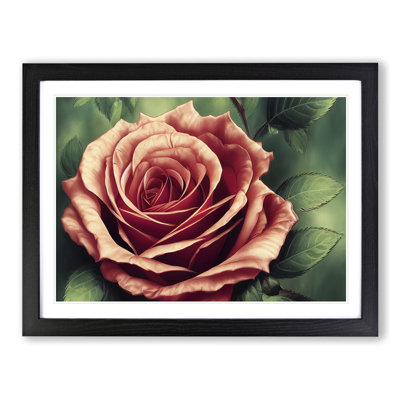 Soothing Rose Flower - Single Picture Frame Print