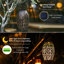Cotrufello 23cm Solar Powered Integrated LED Outdoor Table Lamp