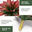 5.91cm Plant