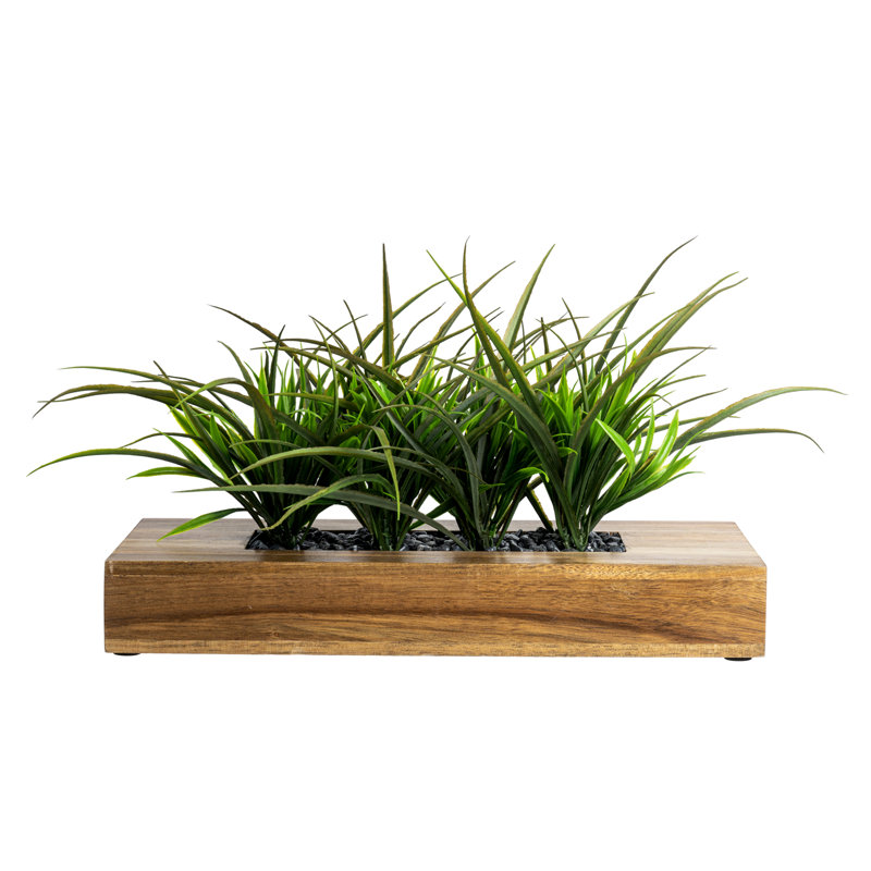 Faux plantes artificielles en bois d'acacia
