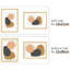Set of 4 Natural Wood Photo Colour Frames, Stand Tabletop or Wall Hanging in Living Room