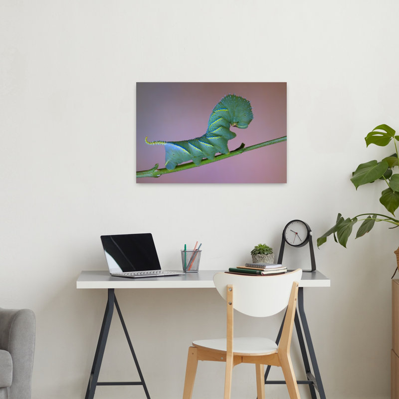 Chenille verte éclatante, illustration murale représentant un animal vibrant au cœur de la nature, H 24 po x l 36 po