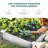 Outdoor Raised Garden Bed, Durable Vinyl, Ideal for Fruits, Veggies & Herbs-2120748307