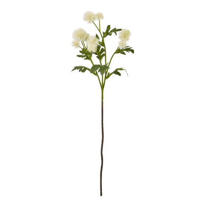 Arrangement