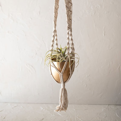 Pot Planter