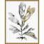 Natural Botanica Print
