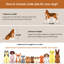 Pet Furniture Style Crate-768590416