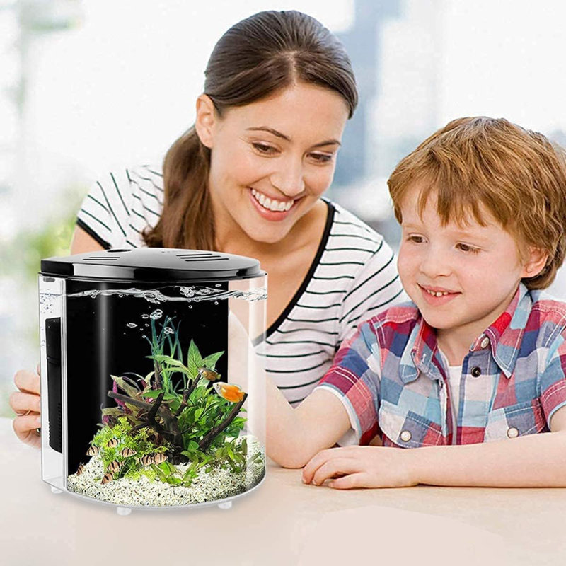 Petit aquarium de 1,2 gallons pour aquarium