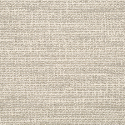 Solids & Textures I 16 Uph Tweed Cotton Blend Fabric