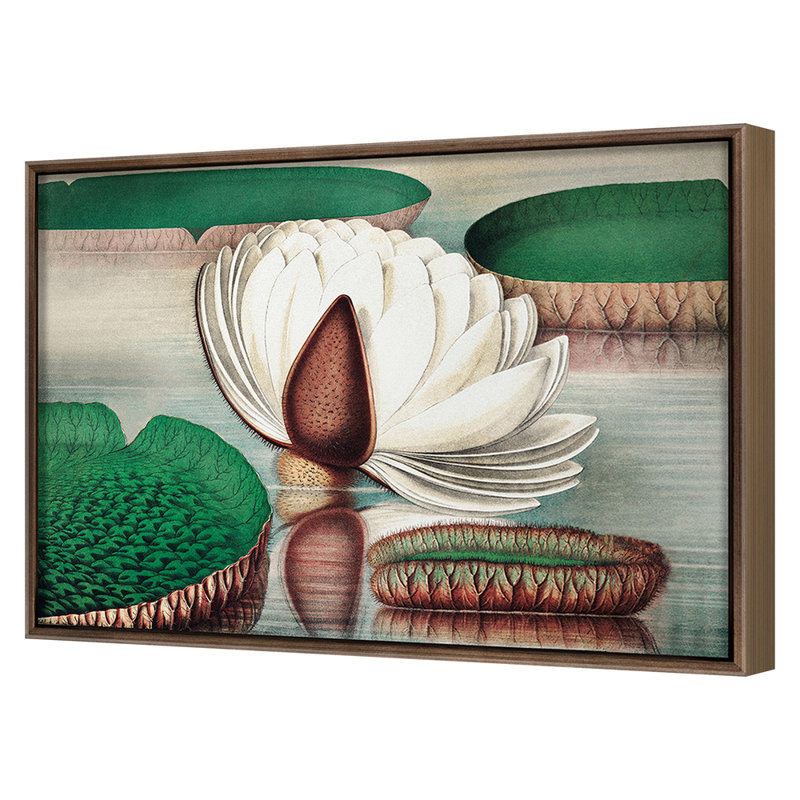 Lilies 1 Print by Grand Archives