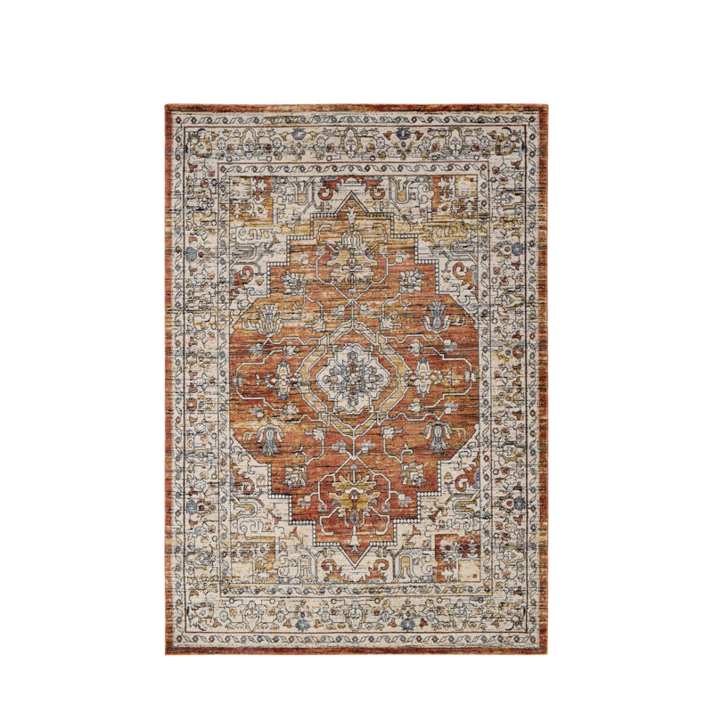 Aliyya Oriental Area Rug, Rectangle 120 x 170cm