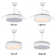 Chesterine 36'' Ceiling Fan with LED Lights