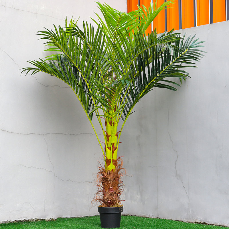 70.5cm Plant