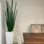 Planter
