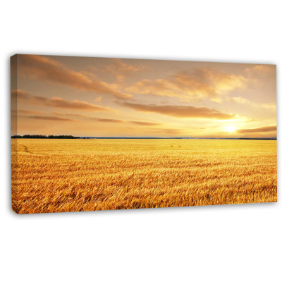 " Large Field Under Cloudy Sky "
