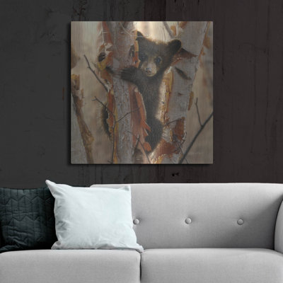 «Curious Cub II» par Collin Bogle, art mural en métal, 24 po x 24 po