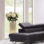 Tige de pivoine-271721969-381641603
