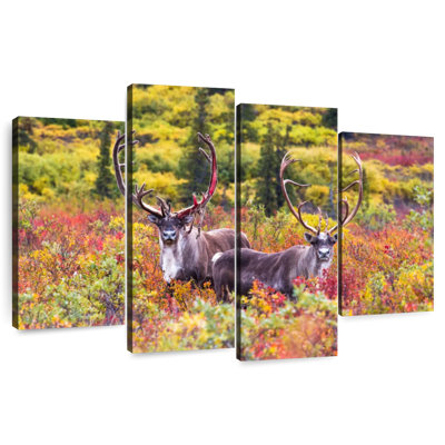 Brampt Caribou Pair