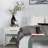 Bahia Bench-87117357-90676403
