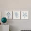 «Indigo Botany Study I», ensemble de 3 peintures sur toile encadrées-2125856210-2125856211