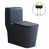 Gray Toilet/Gold Button