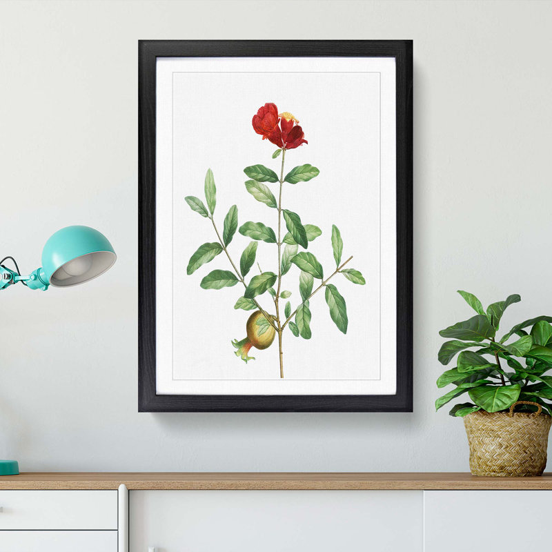 Pomegranate Tree Branch by Pierre-Joseph Redoute - Picture Frame Painting Print, 48cm H x 36cm W x 2cm D, Black Framed